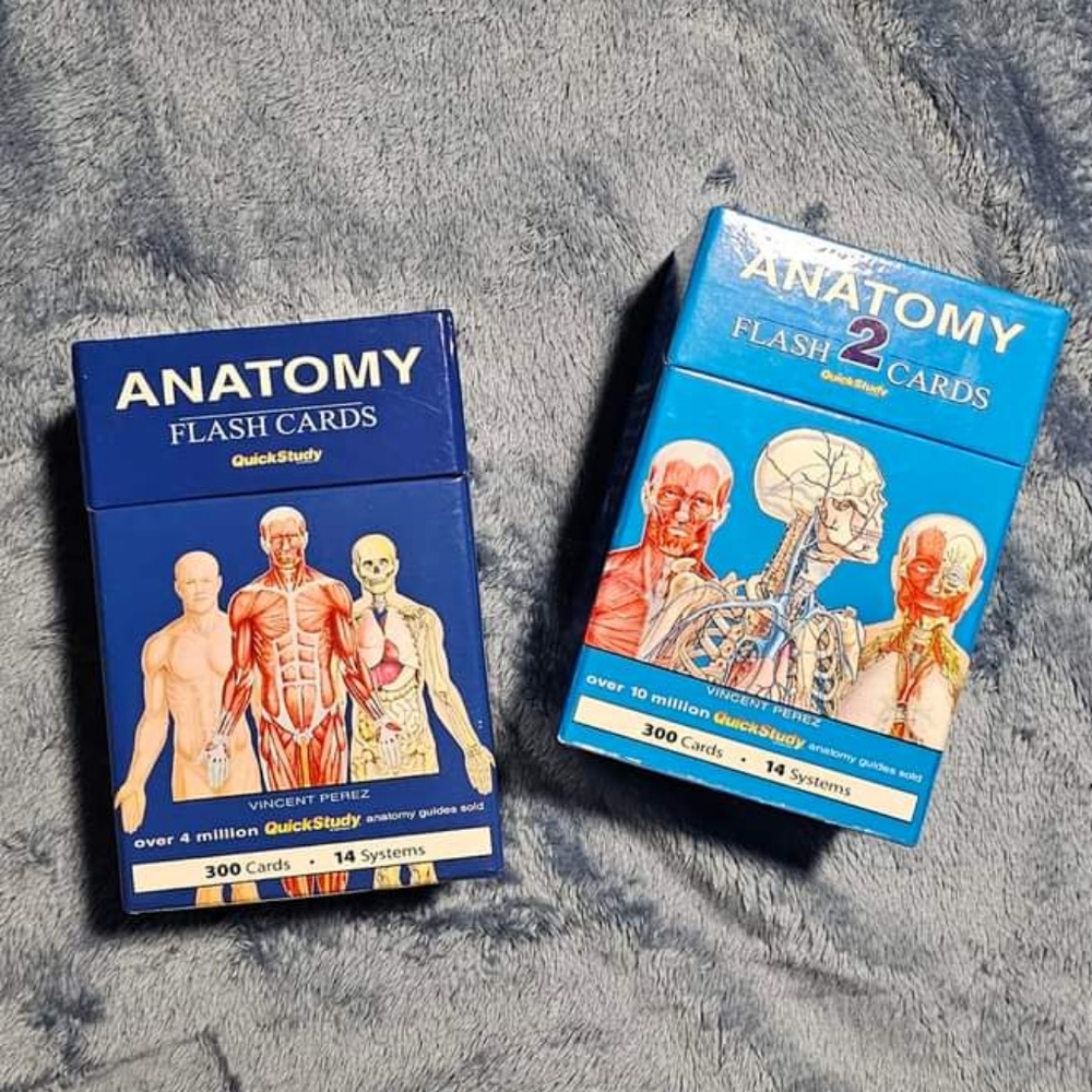 Anatomy Flash Cards